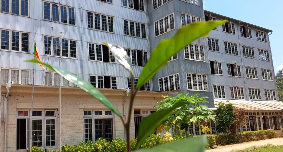 Ceylon Tea Museum: A Journey Through Sri Lanka’s Tea Heritage