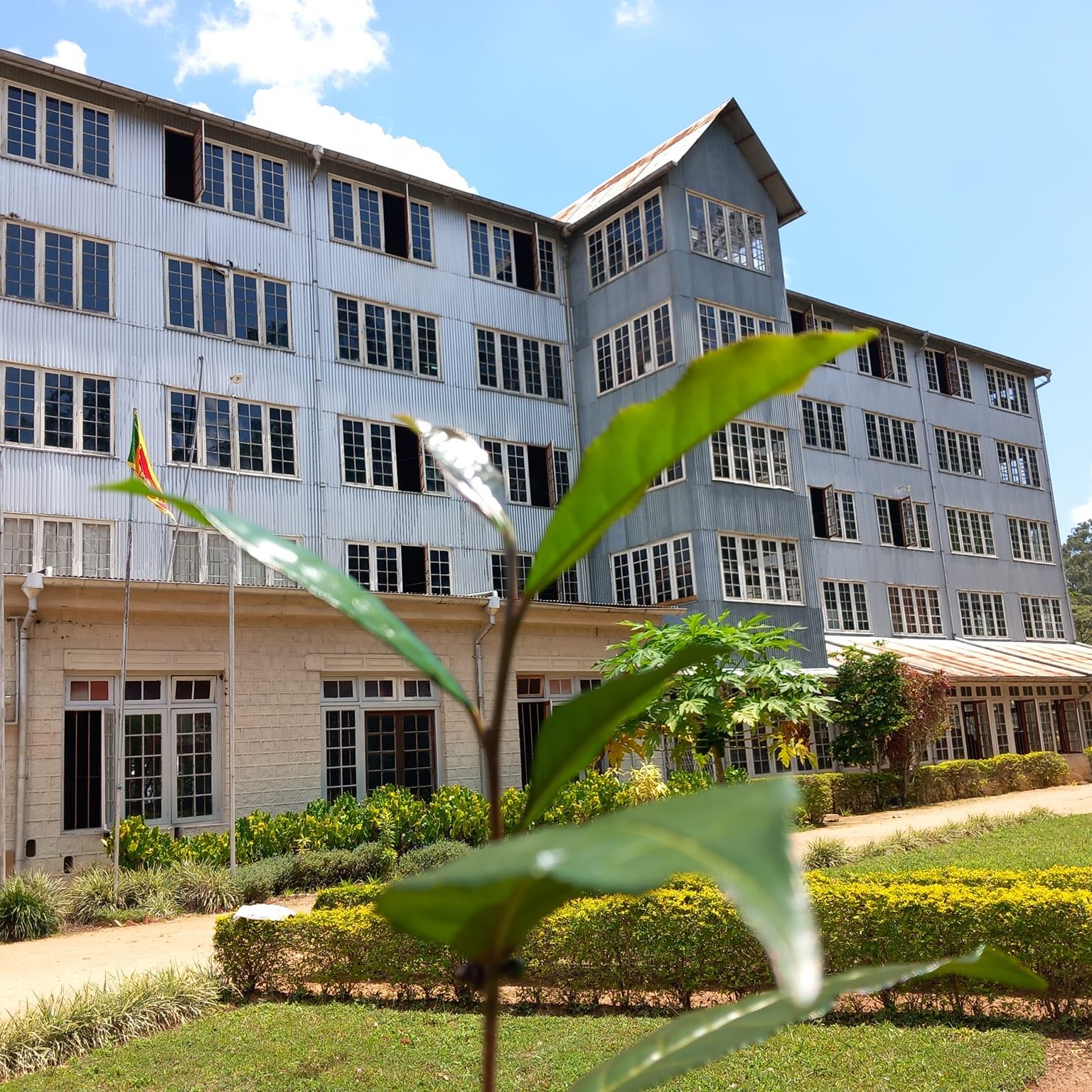 Ceylon Tea Museum: A Journey Through Sri Lanka’s Tea Heritage
