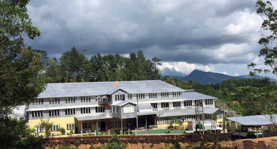 Rakwana Tea Estate: A Hidden Gem in Sri Lanka’s Tea Industry