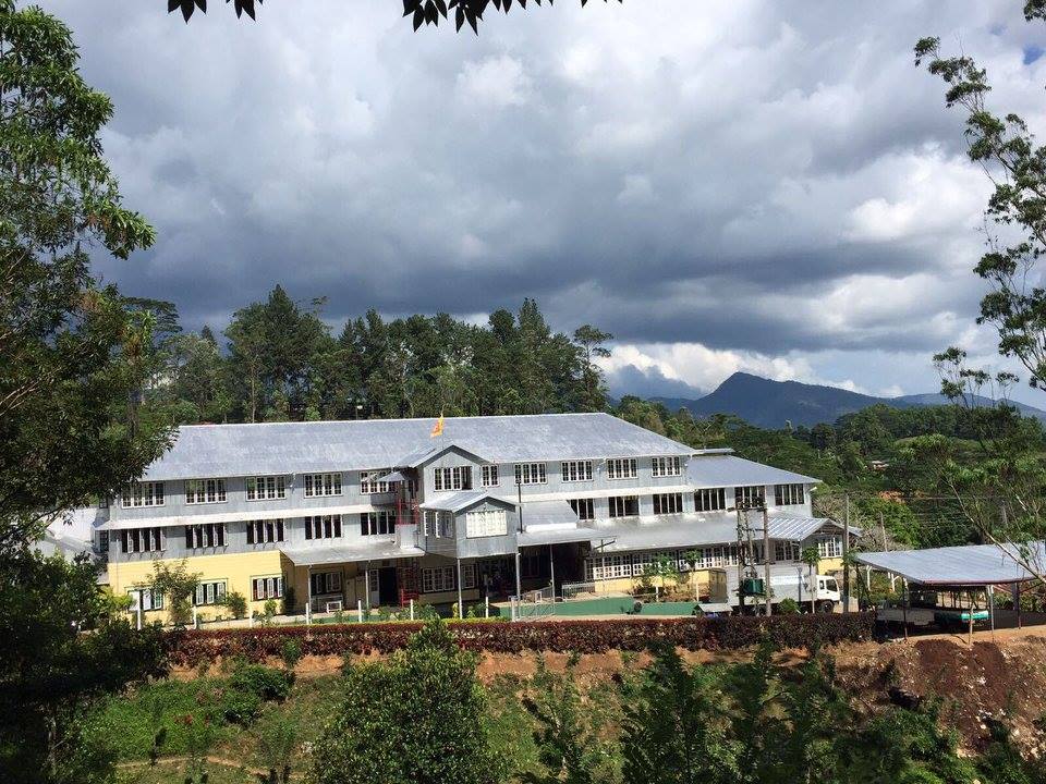 Rakwana Tea Estate: A Hidden Gem in Sri Lanka’s Tea Industry
