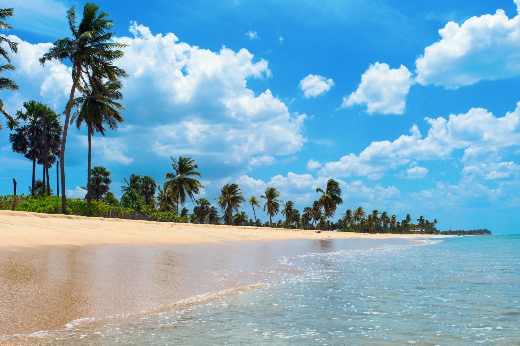 Arugam Bay Beach: A Paradise for Nature Lovers and Surf Enthusiasts