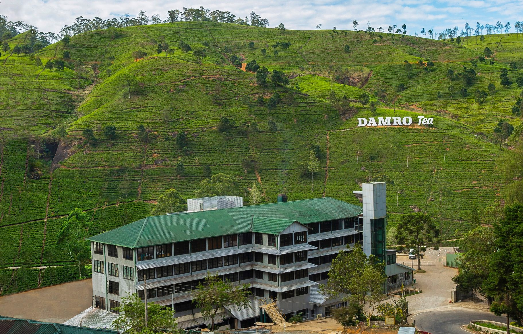 Damro Labookellie Tea Factory: A Journey into Sri Lanka’s Tea Heritage