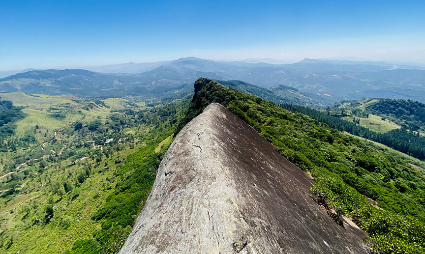 Katusu Konda: Edge of Adventure Lizard’s Back