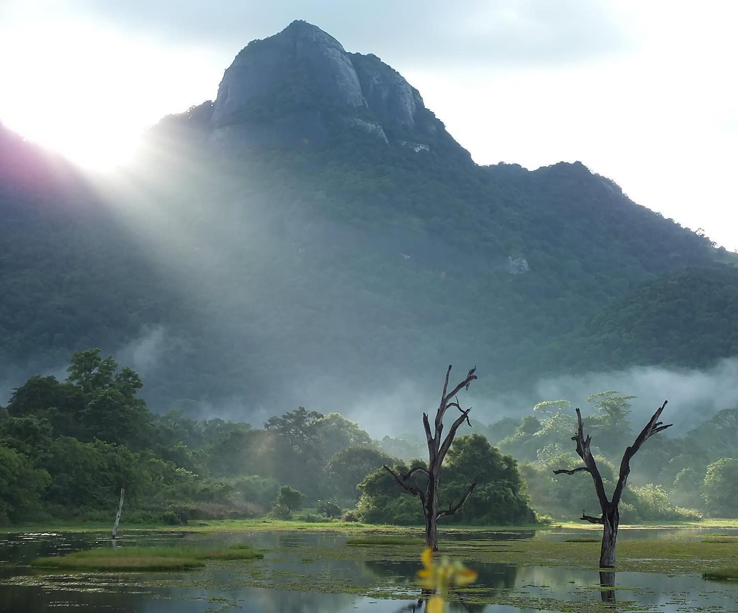 Gal Oya Valley National Park: Sri Lanka’s Hidden Wildlife Sanctuary