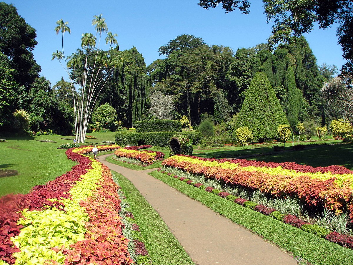 Royal Botanical Gardens, Peradeniya: A Living Legacy of Sri Lanka’s Flora