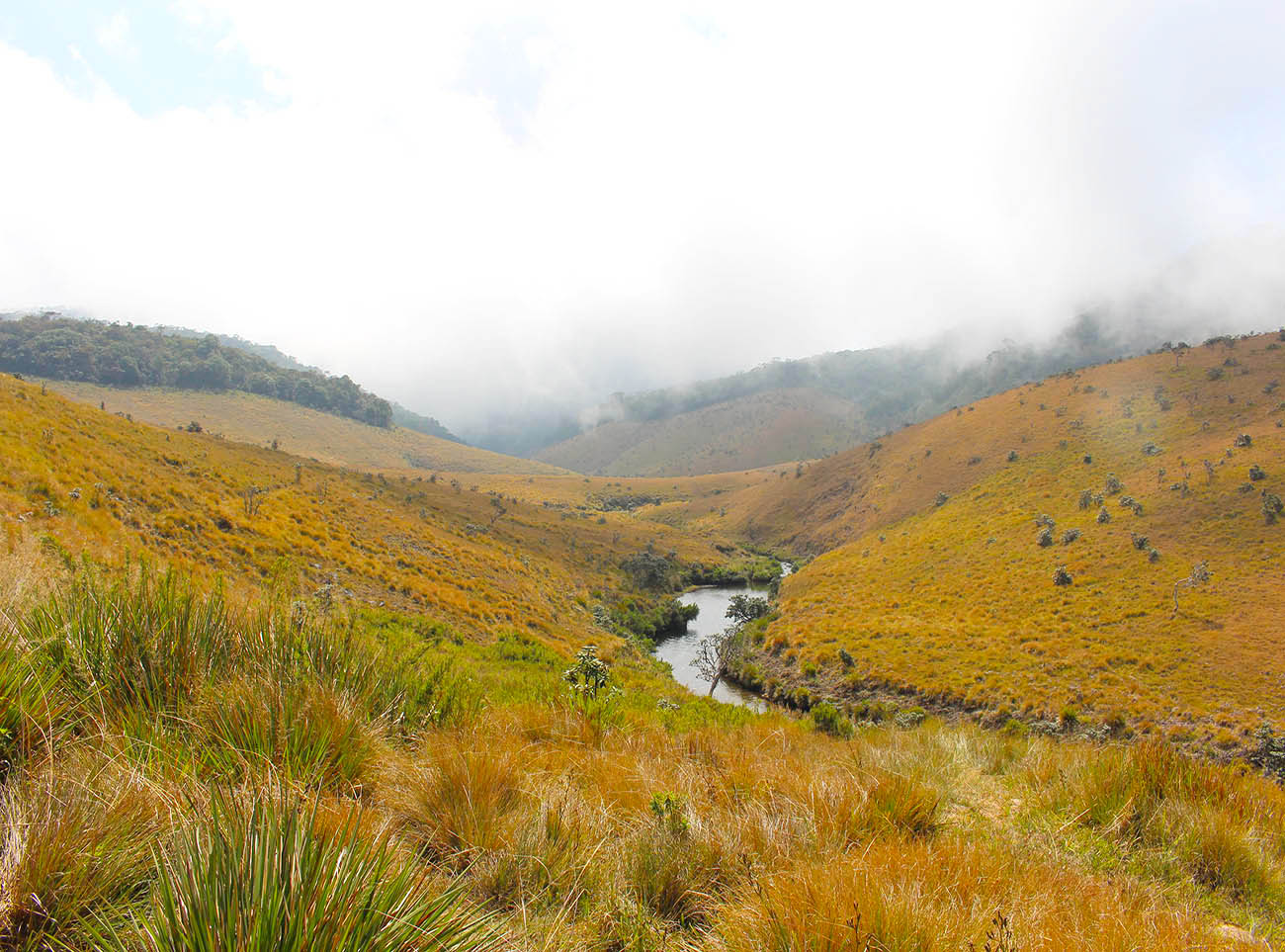Horton Thenna Horton Plains: Natural Marvels of Sri Lanka