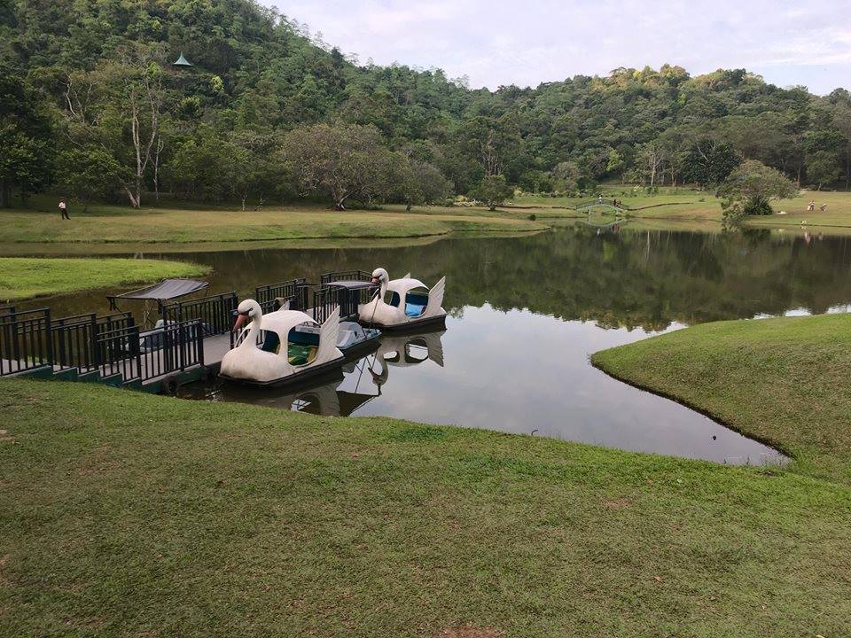 Seethawaka Wet Zone Botanic Garden: A Haven of Biodiversity and Conservation