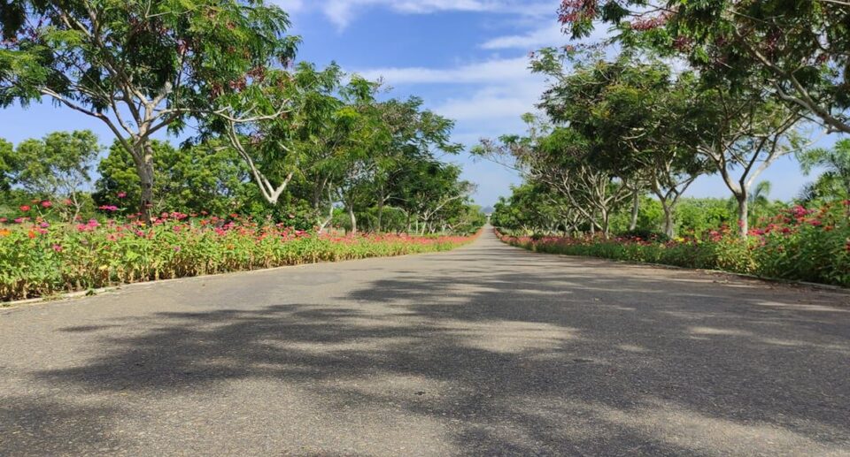 Mirijjawila Dry Zone Botanical Garden: A Sanctuary of Arid Flora