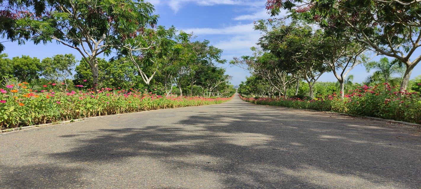Mirijjawila Dry Zone Botanical Garden: A Sanctuary of Arid Flora