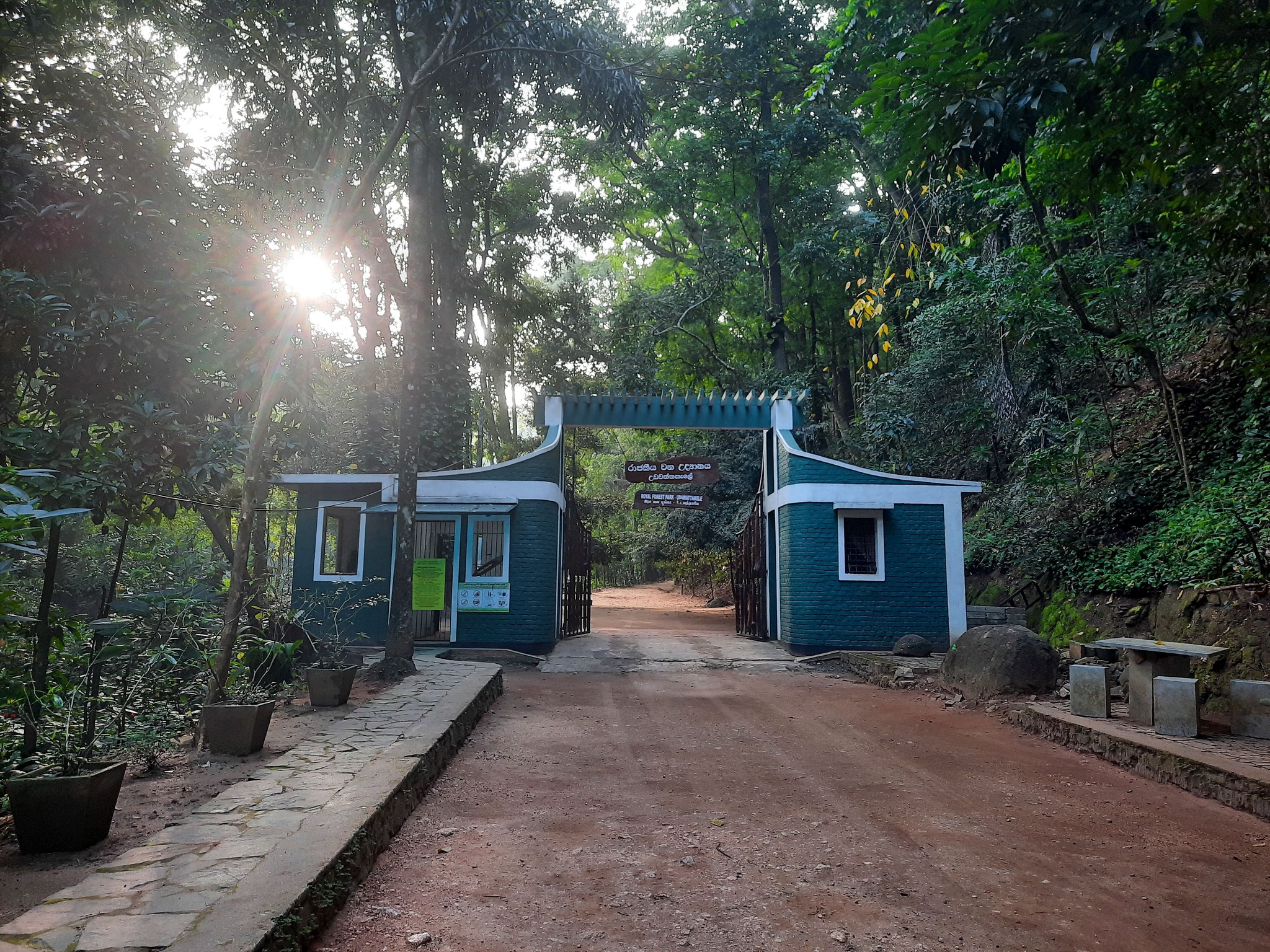 Udawatta Kele Sanctuary: A Verdant Retreat in the Heart of Kandy