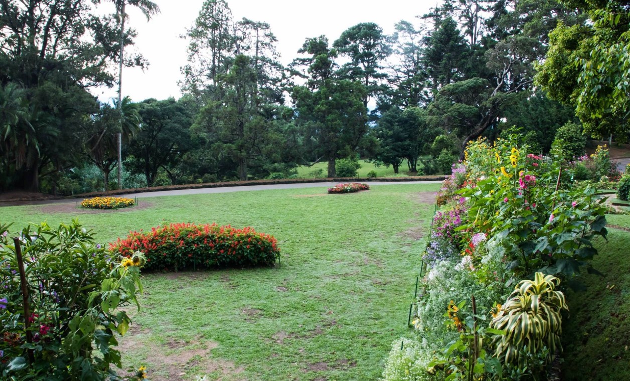 Hakgala Botanical Garden: A Floral Retreat in Sri Lanka’s Hill Country