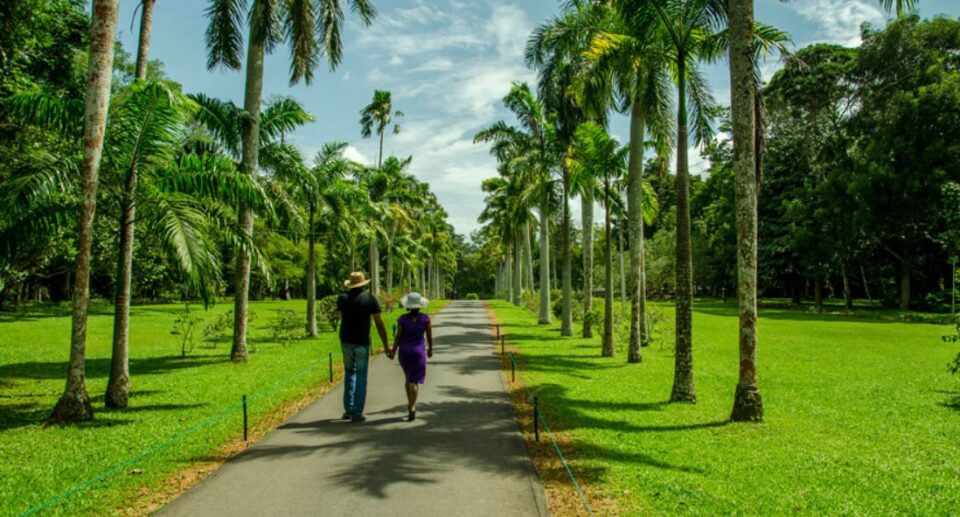 Henarathgoda Botanical Garden: A Legacy of Beauty and Diversity