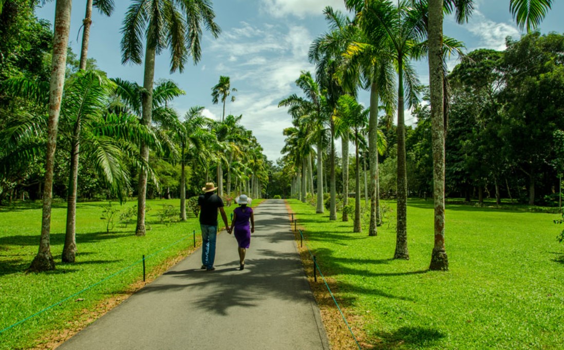 Henarathgoda Botanical Garden: A Legacy of Beauty and Diversity