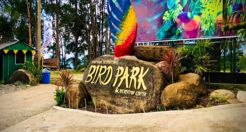 Hanthana Bird Park: A Sanctuary in the Heart of Kandy