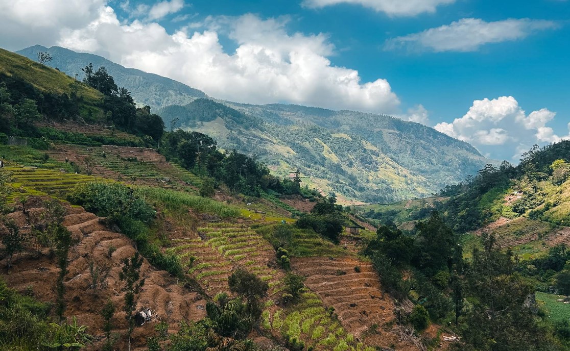 Mandaramnuwara: The Misty Village at the Edge of the World