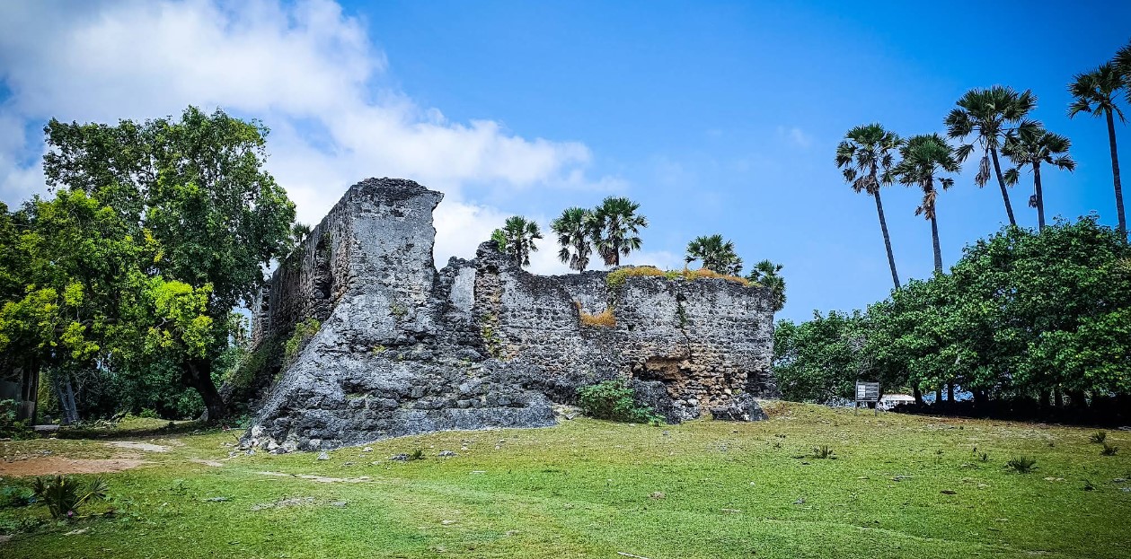 Neduntheevu (Delft Island): The Forgotten Jewel of Jaffna