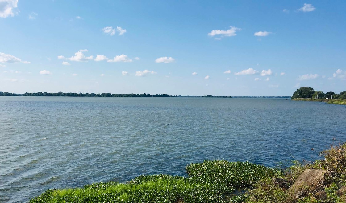 Parakrama Samudraya: The Sea of King Parakramabahu
