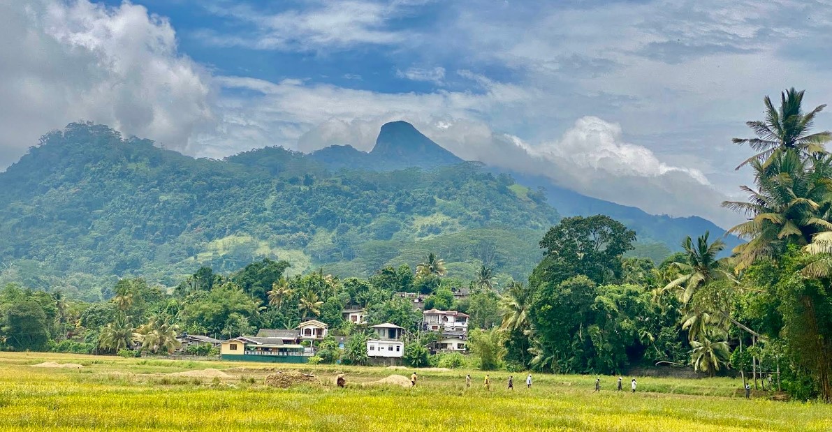 Pettigala Mountain: A Hidden Gem in Sri Lanka’s Central Highlands
