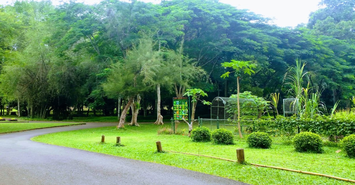 Henarathgoda Botanical Garden: A Legacy of Beauty and Diversity