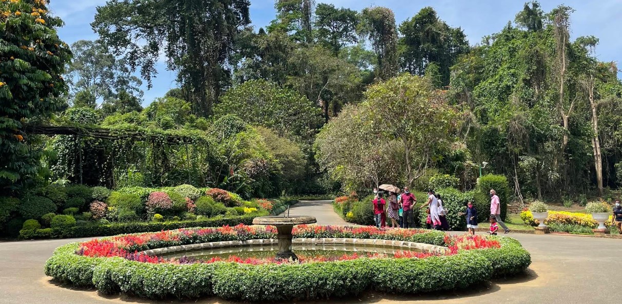 Royal Botanical Gardens, Peradeniya: A Living Legacy of Sri Lanka’s Flora