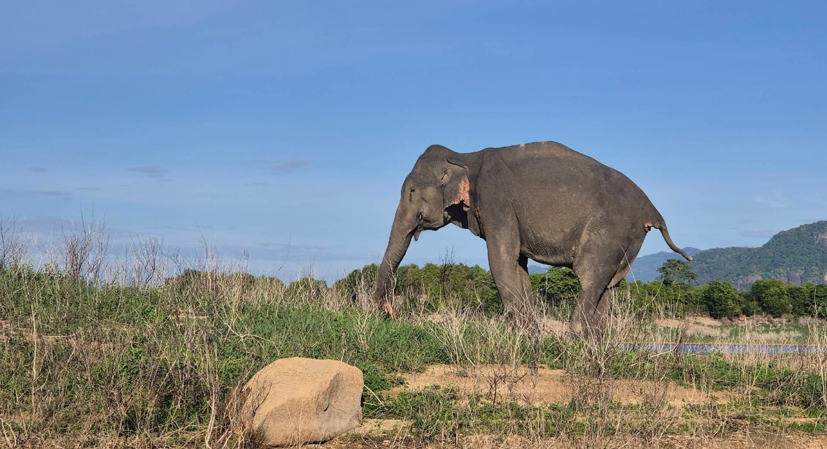Gal Oya Valley National Park: Sri Lanka’s Hidden Wildlife Sanctuary