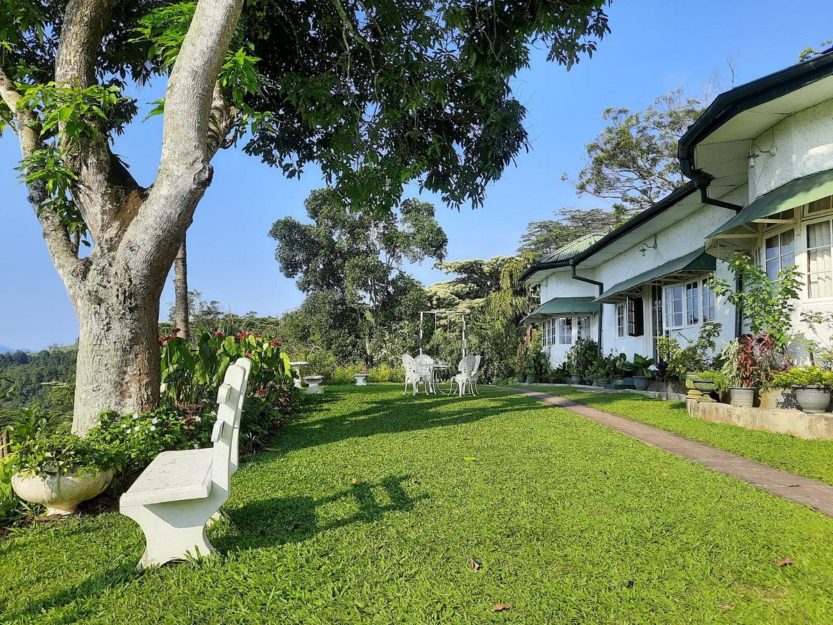 Hatale Tea Estate Bungalow: A Hidden Gem in Sri Lanka’s Hill Country