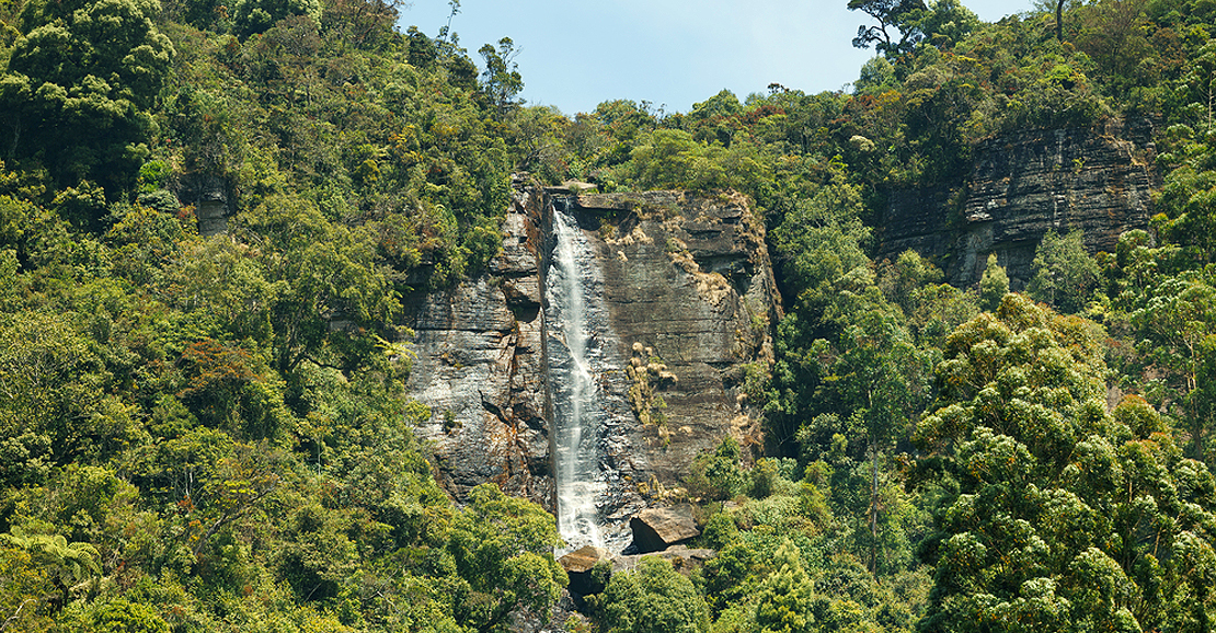 Lover’s Leap Waterfall: A Romantic Cascade in Nuwara Eliya